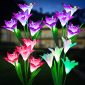 Garden Solar Lights Outdoor Decorative Lighting Set 1