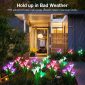 Garden Solar Lights Outdoor Decorative Lighting Set 3