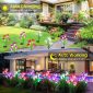 Garden Solar Lights Outdoor Decorative Lighting Set 5