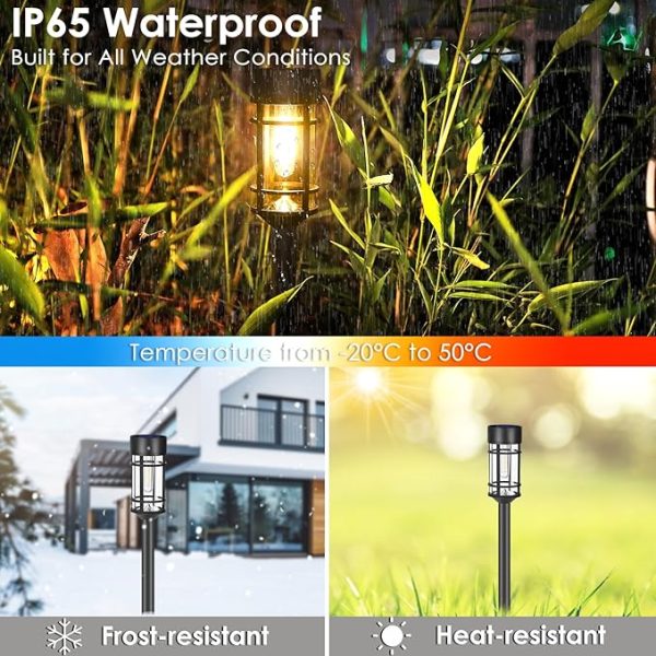 Glass Solar Garden Lights for Landscape Decor 5